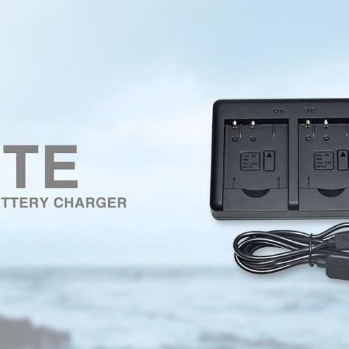 DSTE NP-BN1 Lithium-Ion Battery Pack With USB Dual Battery Charger