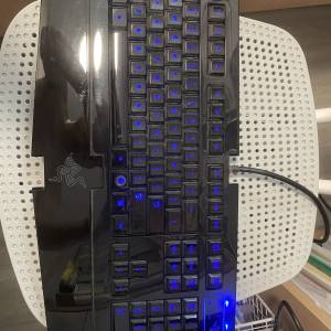 Razer Lycosa 雷蛇鍵盤