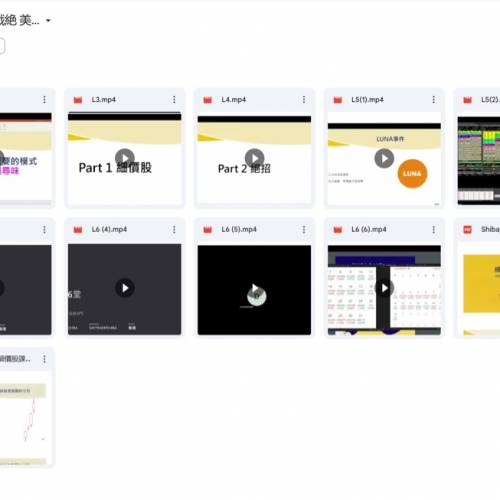 《Shiba DayTrader 戰絶 美股細家股課程》