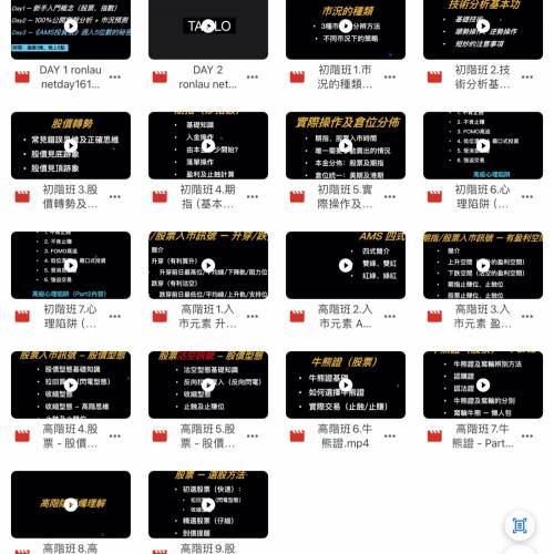 《Ron Lau  AMS 投資》