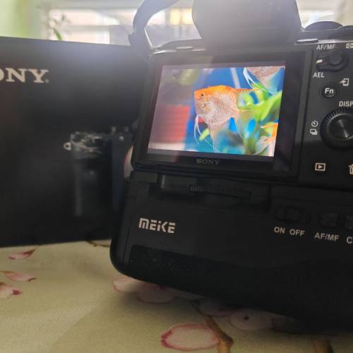 sony A7m2