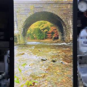 可旋轉打橫打直 HP EliteDisplay E231 23 吋 LED 背光 LCD 顯示器