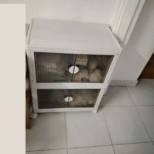 兩層有門防塵膠櫃,需簡單組合二手正常 香港大學站交收