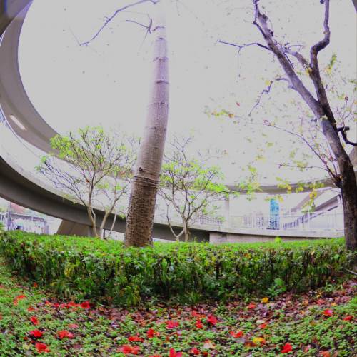 Nikon AF FishEye Nikkor 10.5mm /f2.8G ED DX

180度魚眼鏡