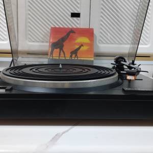 DENON 黑膠唱盤