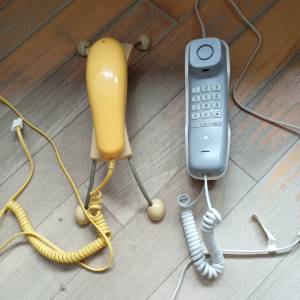 固網電話兩個 + 電話線 + 插頭