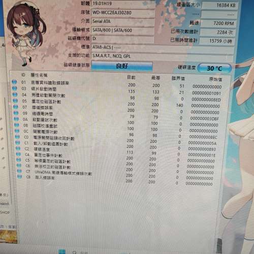 WD 500GB 3.5 SATA HDD 二隻