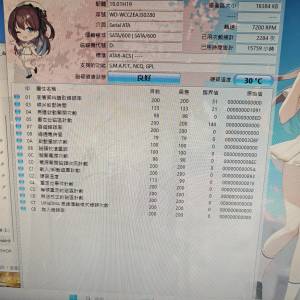 WD 500GB 3.5 SATA HDD 二隻