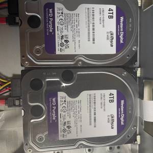 WD機械硬盤HHD紫色4TB
