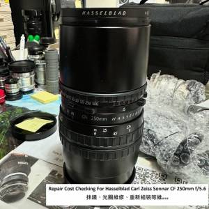Repair Cost Checking For Carl Zeiss Sonnar T* 250mm F/5.6 CFi Lens Cleaning | ...