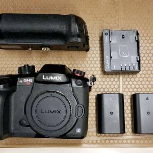Panasonic Lumix GH5s 連直倒
