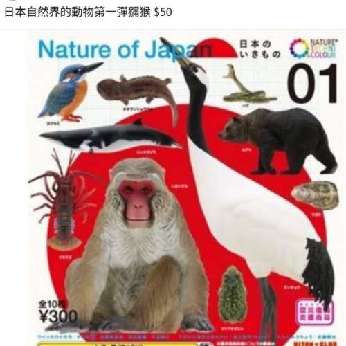 toy