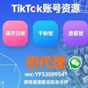 TikTok橱窗