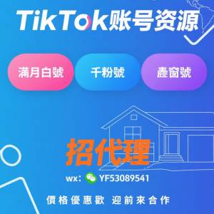 TikTok合作