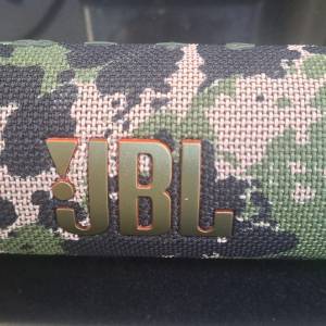 JBL flip 6