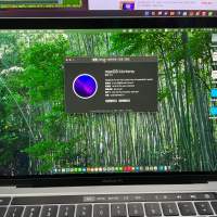 MacBook Pro - 13 2020 最後一代 Intel 16+512G