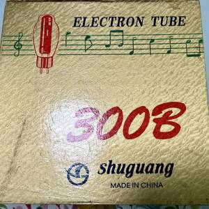 曙光金座300B 膽一對