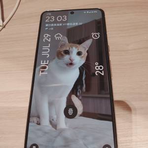 Pixel 8 pro 128 gb  白色