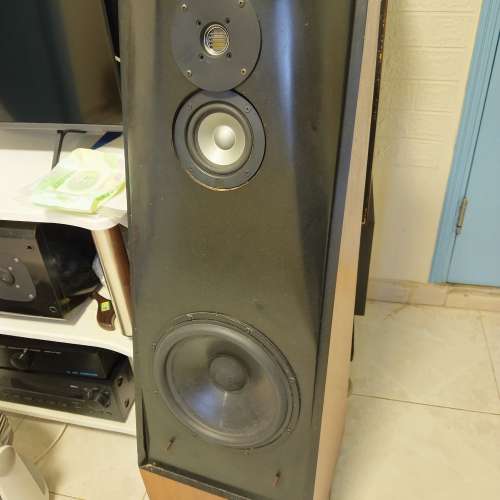 Thiel CS3.5 喇叭一對