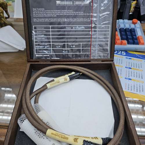 Audiomega Erys Excellence RCA線