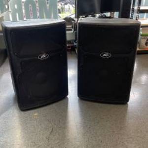 Peavey PVX 10 speaker 10" 兩隻