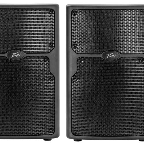 Peavey PVX 10 speaker 10" 兩隻