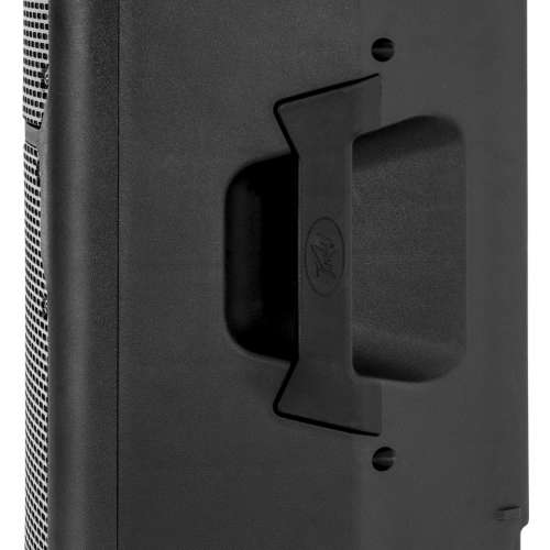 Peavey PVX 10 speaker 10" 兩隻