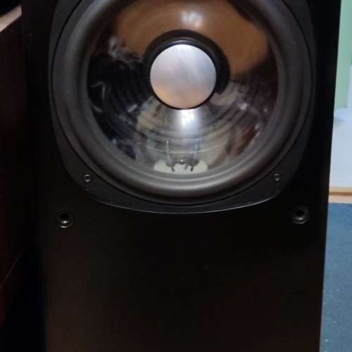 Rogers 音箱，八吋低音，正常，箱體堅實超重，內有隔音棉