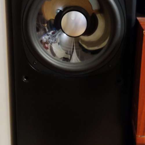 Rogers 音箱，八吋低音，正常，箱體堅實超重，內有隔音棉