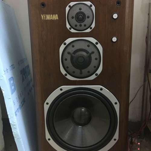 Yamaha ns2000