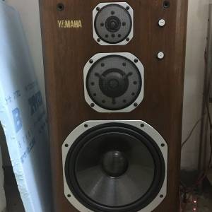 Yamaha ns2000