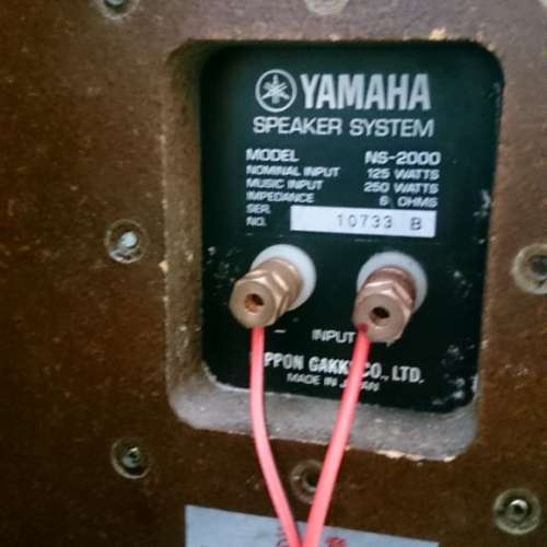 Yamaha ns2000