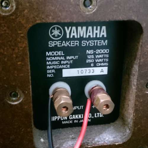 Yamaha ns2000