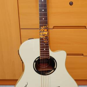 Yamaha APX500 WV