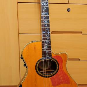 Yamaha APX-8A