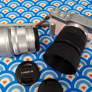 Panasonic Lumix 粉紅色 GF-9 m43