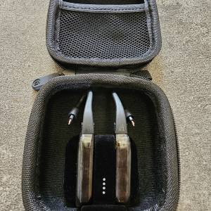 放9成9新 iFi GO Pod Air