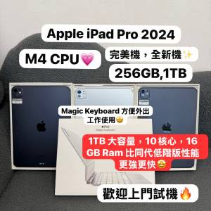 (最新M4 CPU 16GB Ram 10核心🔥iPad Pro 1TB大容量）Apple iPad Pro 11 2024/完美機...