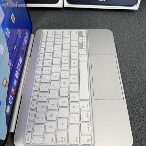 (最新M4 CPU 16GB Ram 10核心🔥iPad Pro 1TB大容量）Apple iPad Pro 11 2024/完美機...