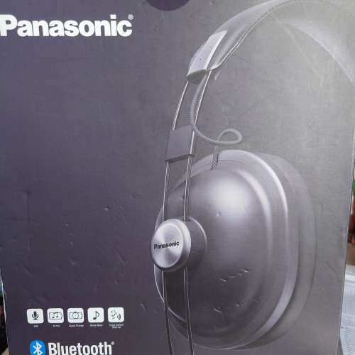99新panasonic RP-HTX80B