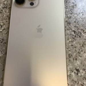iPhone 13 Pro Max 金色 256GB
