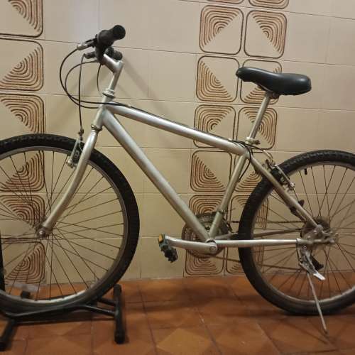 26 吋 銀色 單車