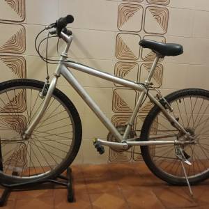 26 吋 銀色 單車