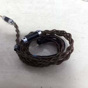 ie800（改鍍鉑金線）