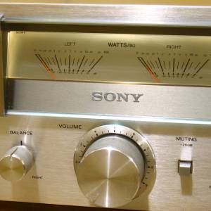 SONY 大孖錶 合併機
