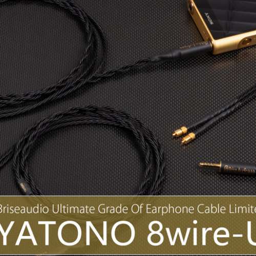 徵求 Brise Yatono 夜刀神 8絞 Ultimate 4.4 2pin