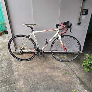 加拿大Cannondale Caad8公路車