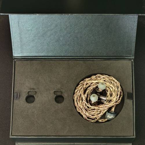 DUNU 達音科 Zen Pro 禪Pro 入耳式耳機 有箱說 連磐Pro升級線