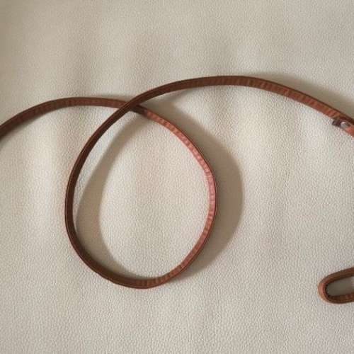 全新 狗帶 狗繩 拖狗帶 Dog Leash  110cm長  $15一條  我時常在長沙灣,可隨時下去地...