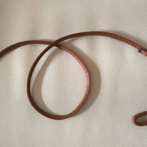 全新 狗帶 狗繩 拖狗帶 Dog Leash  110cm長  $15一條  我時常在長沙灣,可隨時下去地...